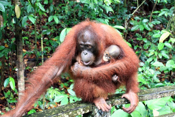 Mother and baby