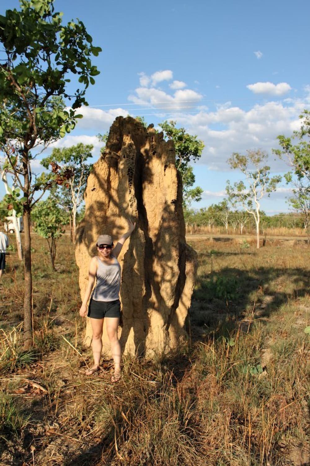 Some of the termite mounds were twice the size of us Some of the termite mounds were twice the size of us