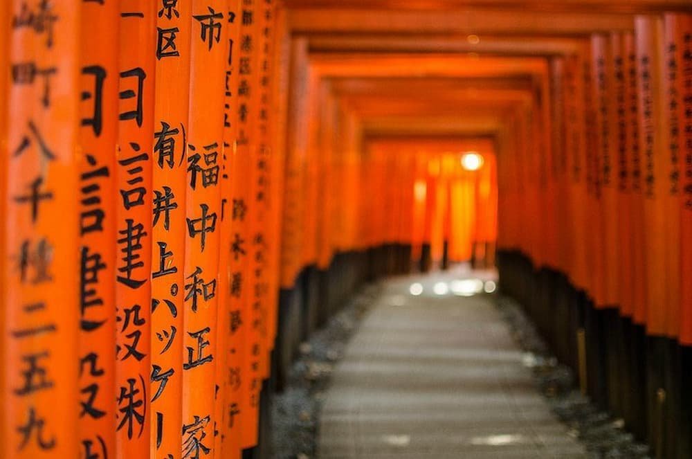Looking through the tunnel of tori
