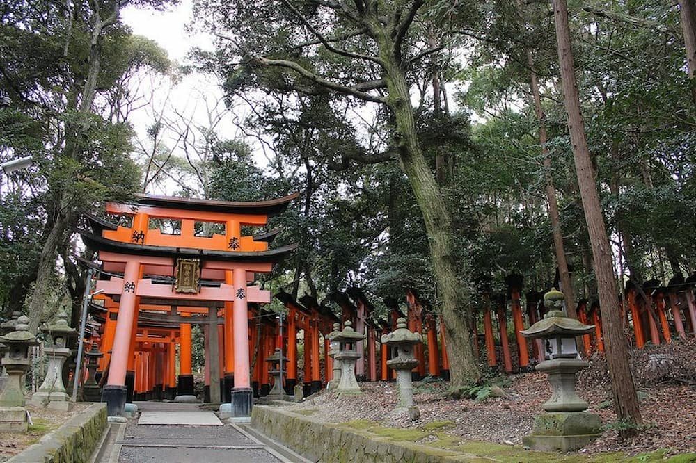 Tori at Fushimi Inari